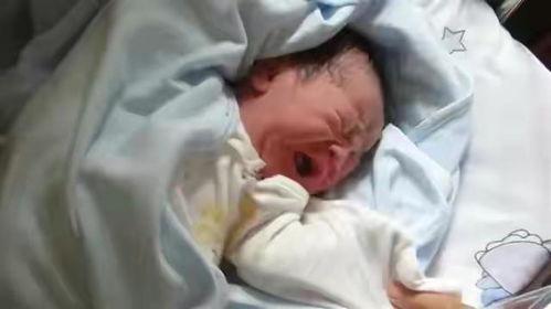 张杰吃瓜爆料视频在线观看,揭秘娱乐圈幕后真相